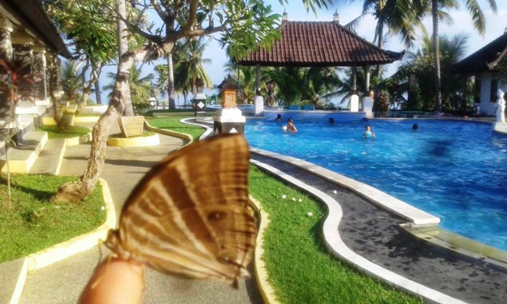 Bali Sunset Hotel Negara  المظهر الخارجي الصورة
